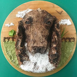 Sweet Norma! 💚💚💚 On request, a biscui